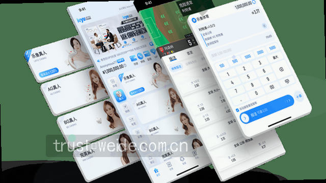 处理流程步骤概览